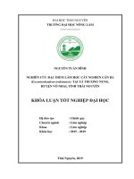 Nghiên cứu đặc điểm lâm học cây nghiến gân ba excentrodendron tonkinensis tại xã thượng nung huyện võ nhai tỉnh thái nguyên 