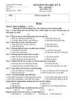 KIEM TRA HOC KY II TIET 52