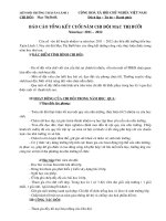 bao cao tong ket cuoi nam cua chi doi