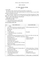 giao an 4 tuan 9 hung