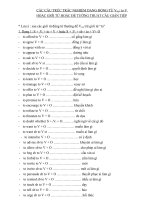 gerund and infinitive