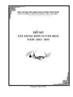 Dang ky don vi van hoa nam 20122013