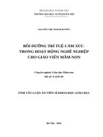 Bồi dưỡng trí tuệ cảm xúc trong hoạt động nghề nghiệp cho giáo viên mầm non TT 