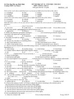 de thi HKII English 11