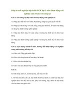 Dap-an-tap-huan-HDTN-lop-2-sach-chan-troi-sang-tao