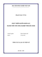 Tóm tắt Luận án Tiến sĩ: Phát triển nguồn nhân lực ngành tiểu thủ công nghiệp tỉnh Bắc Ninh