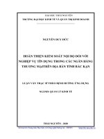 (Luận văn thạc sĩ) hoàn thiện kiểm soát nội bộ đối với nghiệp vụ tín dụng trong các ngân hàng thương mại trên địa bàn tỉnh bắc kạn​ 