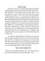 Thực trạng nhiễm khuẩn vết mổ ở một số bệnh viện tuyến tỉnh và trung ương, hiệu quả biện pháp can thiệp tt 