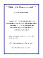 Nghiên cứu về đặc điểm thực vật, thành phần hóa học và một số tác dụng sinh học của cây nhân trần tía adenosma bracteosum bonati   scrophulariaceae tt 