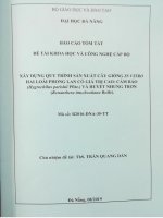 Xây dựng quy trình sản xuất cây giống in vitro hai loài phong lan có giá trị cao cẩm báo (hyglohilus parishii pfitz ) và huyết nhung trơn (renanthera imschootiana rolfe)  tt