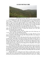 BAI VIET CUA CO GIAO TRAN THANH HUYEN