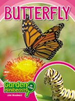 Động vật: Garden butterfly 