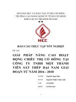 GIẢI PHÁP NÂNG CAO HOẠT ĐỘNG CHIÊU THỊ cổ ĐÔNG tại CÔNG TY TNHH một THÀNH VIÊN sắt THÉP đại NAM GIAI đoạn từ năm 2016   2018 