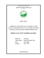 Nghiên cứu ảnh hưởng của vị trí trên cây đến cây cấu tạo và tính chất vật lý của cây trúc sào phyllostachys edulis tuổi 1 tại huyện chợ mới tỉnh bắc kạn 