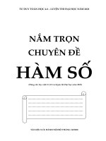 nam-tron-chuyen-de-ham-so