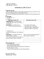 giao an sinh hoat lop nam hoc 20122013