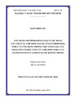 Xây dựng mô hình phân loại và dự đoán các chất ức chế bơm ngược pglycoprotein, nora và ứng dụng trong việc sàng lọc các chalcon có khả năng ức chế bơm nora của staphylococcus aureus đa đề kháng thuốc tt 