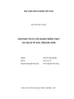 Giải pháp tái cơ cấu ngành trồng trọt tại thị xã từ sơn tỉnh bắc ninh luận văn thạc sĩ kinh tế nông nghiệp 