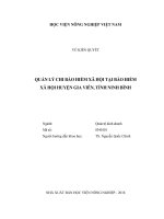 Quản lý chi bảo hiểm xã hội tại bảo hiểm xã hội huyện gia viễn tỉnh ninh bình luận văn thạc sĩ kinh tế nông nghiệp 