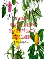 Đàm phán trong kinh doanh: Chương 5, Nhận thức, Xu hướng nhận thức và xúc cảm trong đàm phán