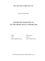 Giải pháp đẩy mạnh công tác xúc tiến thương mại của tỉnh phú thọ luận văn thạc sĩ kinh tế nông nghiệp 