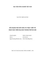 Đẩy mạnh thu hút đầu tư trực tiếp từ nhật bản trên địa bàn thành phố hà nội luận văn thạc sĩ kinh tế nông nghiệp 