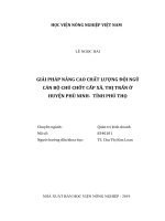 Giải pháp nâng cao chất lượng đội ngũ cán bộ chủ chốt cấp xã thị trấn ở huyện phù ninh tỉnh phú thọ luận văn thạc sĩ kinh tế nông nghiệp 
