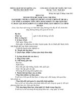 MAU BAO CAO THANH TICH CA NHAN 2012