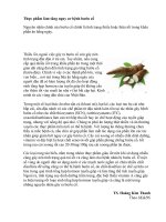 Thuc pham lam tang nguy co benh buou co