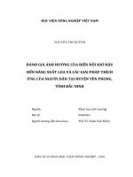 Đánh giá ảnh hưởng của biến đổi khí hậu đến năng suất lúa và các giải pháp thích ứng của người dân tại huyện yên phong tỉnh bắc ninh luận văn thạc sĩ nông nghiệp 