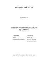 Nghiên cứu bệnh phấn trắng hại bầu bí tại hải dương luận văn thạc sĩ nông nghiệp 