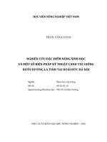 Nghiên cứu đặc điểm nông sinh học và một số biện pháp kỹ thuật canh tác giống bưởi đường la tinh tại hoài đức hà nội luận văn thạc sĩ nông nghiệp 