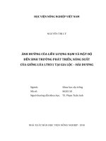 Ảnh hưởng của liều lượng đạm và mật độ đến sinh trưởng phát triển năng suất của giống lúa LTH31 tại gia lộc hải dương luận văn thạc sĩ nông nghiệp 