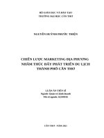 Chiến lược marketing địa phương nhằm thúc đẩy phát triển du lịch thành phố cần thơ 