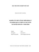 Nghiên cứu một số đặc điểm bệnh lý của bệnh đậu gà thả vườn tại huyện kim sơn ninh bình luận văn thạc sĩ nông nghiệp 