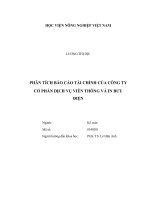Phân tích báo cáo tài chính của công ty cổ phần dịch vụ viễn thông và in bưu điện luận văn thạc sĩ kinh tế nông nghiệp 