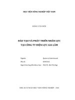 Đào tạo và phát triển nhân lực tại công ty điện lực gia lâm luận văn thạc sĩ kinh tế nông nghiệp 