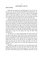 Nghiên cứu ứng dụng phẫu thuật nội soi cắt giảm thể tích phổi điều trị bệnh phổi tắc nghẽn mạn tính tt 