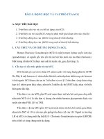 BÀI 11  ĐỘNG học và VAI TRÒ của hCG 