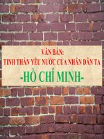 Ngữ văn 7 - Tiết 80: Văn bản: Tinh thần yêu nước của nhân dân ta