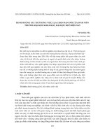 Định hướng giá trị trong việc lựa chọn bạn đời của sinh viên trường Đại học Khoa học, Đại học Huế hiện nay