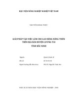 Giải pháp tạo việc làm cho lao động nông thôn trên địa bàn huyện lương tài tỉnh bắc ninh luận văn thạc sĩ kinh tế nông nghiệp 