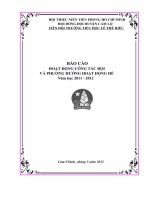 BAO CAO DOI 20112012