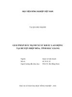 Giải pháp đẩy mạnh xuất khẩu lao động tại huyện hiệp hòa tỉnh bắc giang luận văn thạc sĩ kinh tế nông nghiệp 