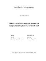 Nghiên cứu bệnh đốm lá nhỏ hại ngô tại huyện lương tài tỉnh bắc ninh năm 2017 luận văn thạc sĩ nông nghiệp 