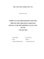 Nghiên cứu đặc điểm sinh học sinh thái nhện bắt mồi amblyseius largonesis muma acari phytoseidae tại gia lâm hà nội năm 2017 2018 luận văn thạc sĩ nông nghiệp 