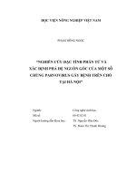 Nghiên cứu đặc tính phân tử và xác định phả hệ nguồn gốc của một số chủng parvovirus gây bệnh trên chó tại hà nội luận văn thạc sĩ nông nghiệp 
