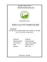 Xây dựng đề án khởi nghiệp nông nghiệp sau khi học tập và làm việc tại nhật bản​ 