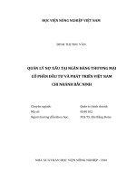 Quản lý nợ xấu tại ngân hàng thương mại cổ phần đầu tư và phát triển việt nam chi nhánh bắc ninh luận văn thạc sĩ kinh tế nông nghiệp 