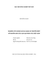 Nghiên cứu đánh giá đa dạng di truyền một số nguồn gen lúa gạo màu của việt nam luận văn thạc sĩ nông nghiệp 